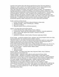 www.speros.lt